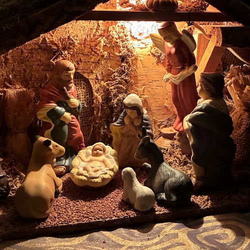 Musician, Catholic, biker, concerned Citizen!  Happily married 2 Army vets, 1st died from AO cancer (inf VN 69-70). Perm...