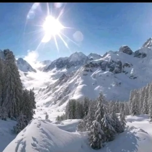 🇺🇸 PATRIOT, 2ND, PURE BLOODS,🩸 SAVE THE CHILDREN, WE THE PEOPLE ,TRUTH NEVER LIES, WWG1WGA, I STAND WITH AMERICA     ...