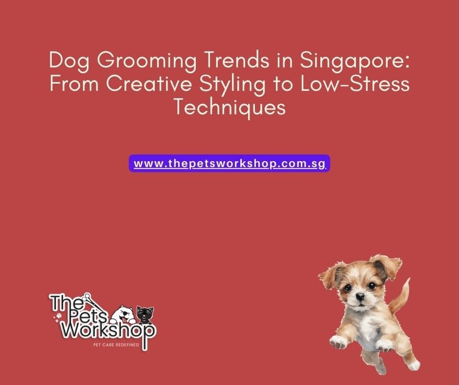 Dog Grooming Trends in Singapore: From Creative Styling to Low-Stress Techniques- The Pets Workshop
...