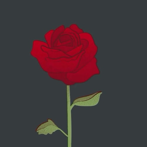 Visit Miss Rubby's profile on GETTR. View their posts, photos, videos, and connect with them on the social platform.