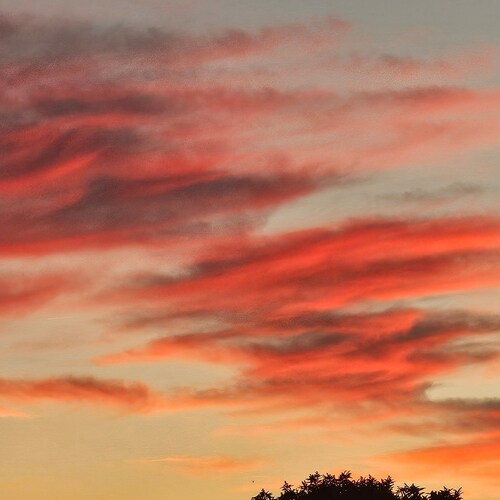 Retired, wife, mom, mamma, great grandma!
VERY Blessed 🙏