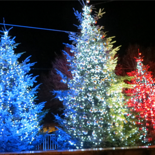 🐞 Le changement viendra seulement de nous-mêmes !!!  🇷🇺 🇷🇸 🇨🇵