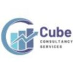 Top IT job consultancy in Bangalore offering personalized support to tech professionals and helping companies hire skill...