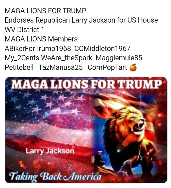 MAGA REPS LIST 2026 MIDTERMS PG. 46
NEW YEARS DAY EDITION
PRIMARY : 05/12/26

* WEST VIRGINIA *

A. ...