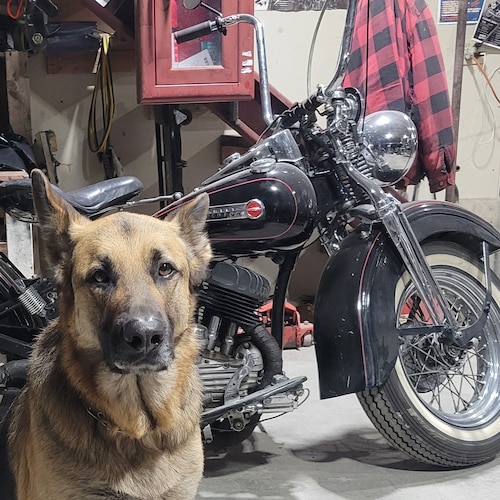 ULTRA IDAHO AMERICAN
 2A forever
FREEDOM 
&#JUSTICE4J6 
BLACK BIKES MATTER 
WWG1WGA  111%er
NO DMs
 6th Great Grandson o...