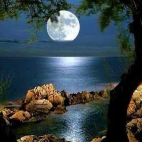 AMERICA FIRST🇺🇸🇺🇸🇺🇸🇺🇸
CONSTITUTIONAL CONSERVATIVE 🇺🇸🇺🇸🇺🇸
ALL GLORY TO GOD🌟

NO TRAINS 
NO DMs