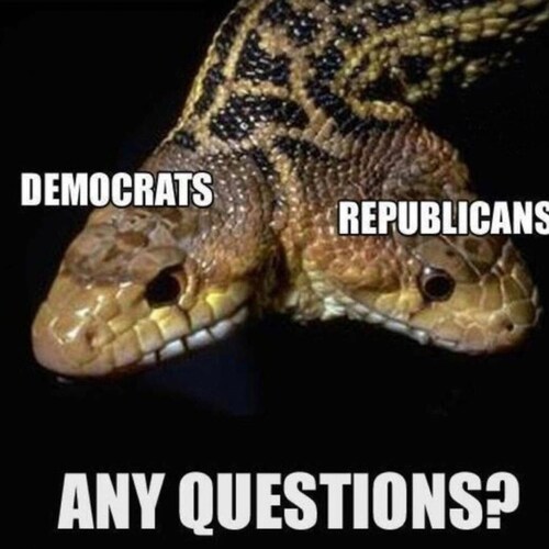 Love the direction we are going. Been waiting for ARRESTS and  Replacements. WTF