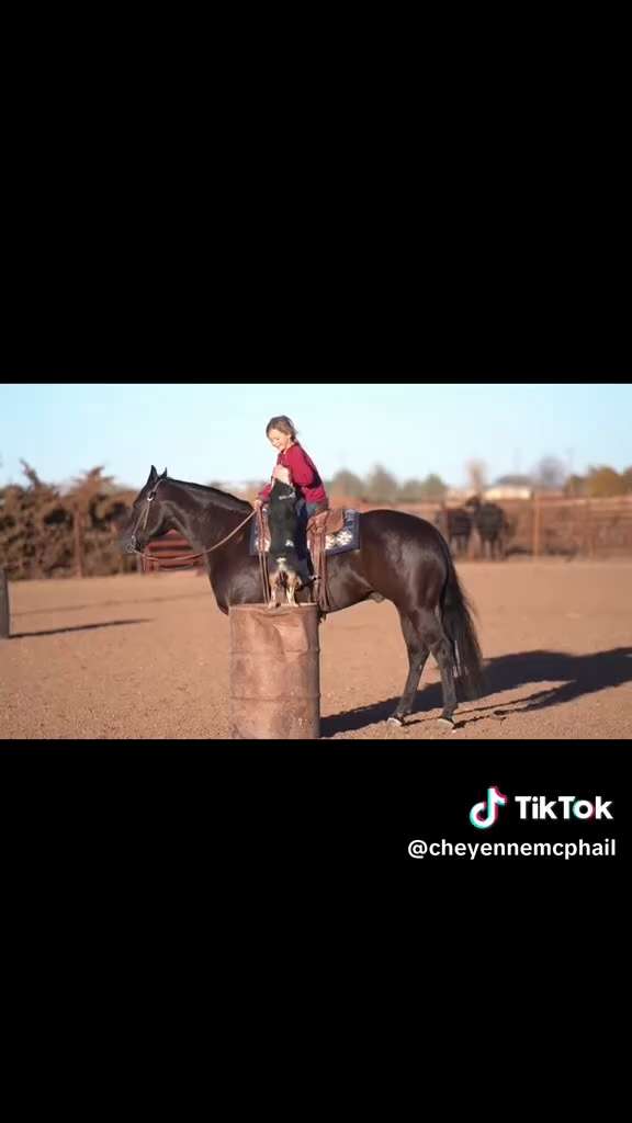 NOW THAT HORSE HAS A LOT OF PERSONALITY
That Is Her Buddy !!!