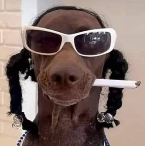 Honor Christ and see the blessings.The 2nd Amendment protects the first . Bring back comedy,unvaccinated patriot. 
Stay ...