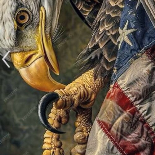 🚜🏒💯♥🇺🇸🙏
American Patriot who's not afraid to bleed for our country.🇺🇸🇺🇸🇺🇸