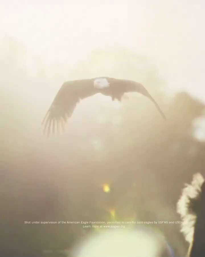 WATCH: Budweiser just released its new Super Bowl LX commercial!

It's amazing and will cause the le...