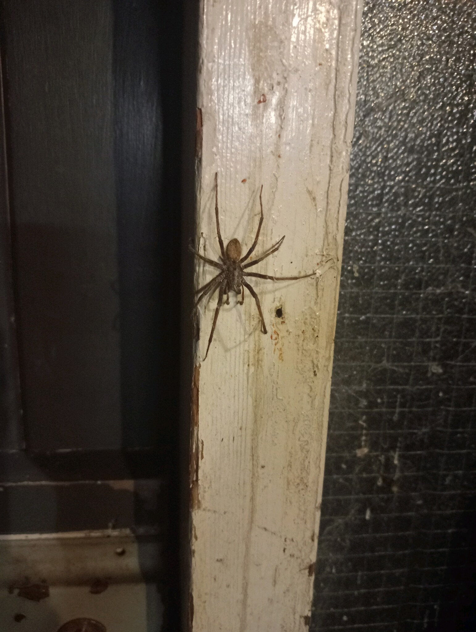 There were two there this morning.🤷