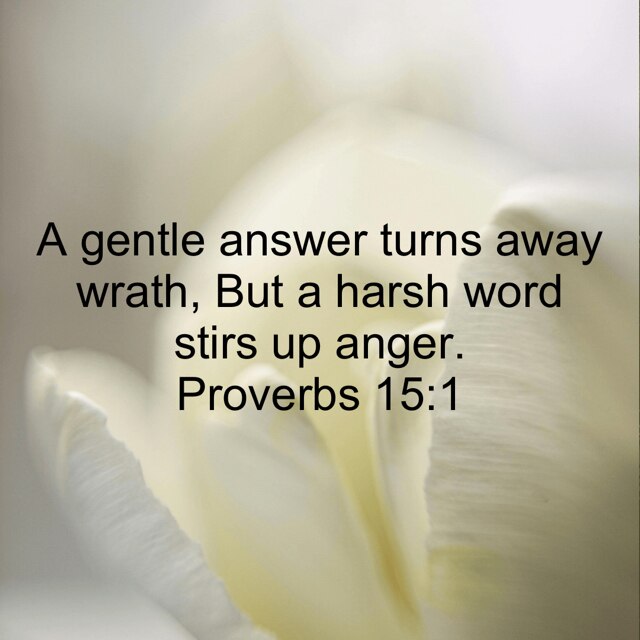 查看 SamuelTolley 在 GETTR 上的帖子。加入讨论，分享您的想法，与社区联系。