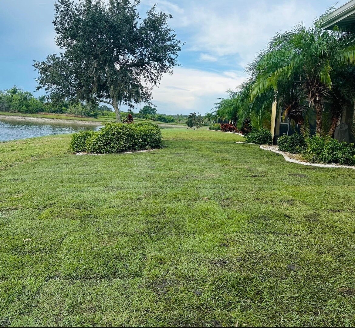 Premium Quality Wholesale Sod In Tampa Services

Council Growers Sod Farm provides exceptional whole...