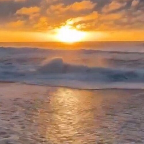 "Quem tem ouvidos para ouvir, ouça." 
                   Mt 11:15