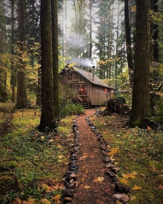 Thanks to the 90 Miles From Tyranny blog for this pic!
