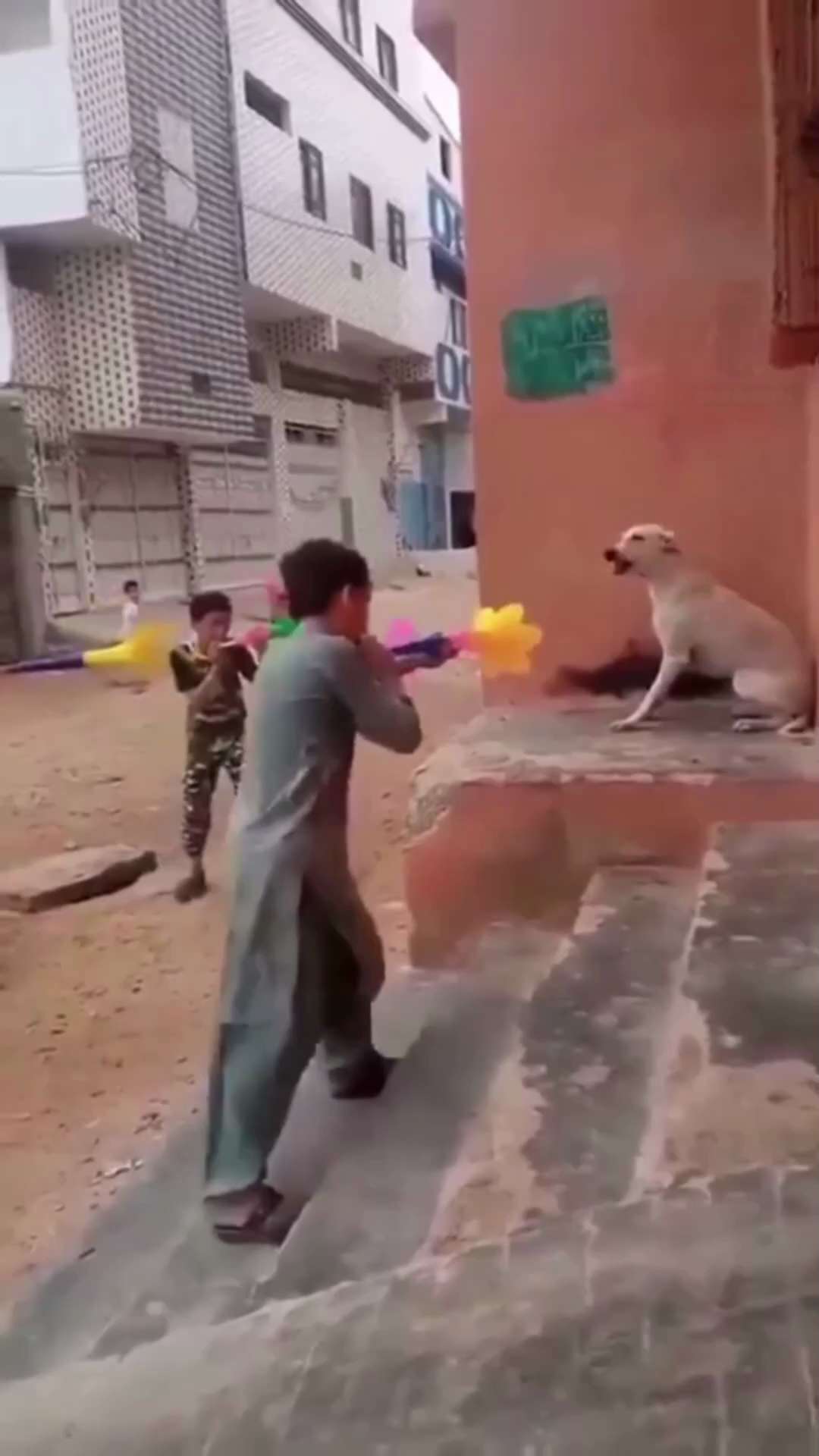 This is what Muslims think of dogs

These are children too.

Vile.