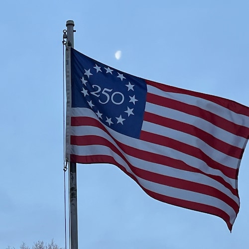 Patriot, cat lover and bird watcher.