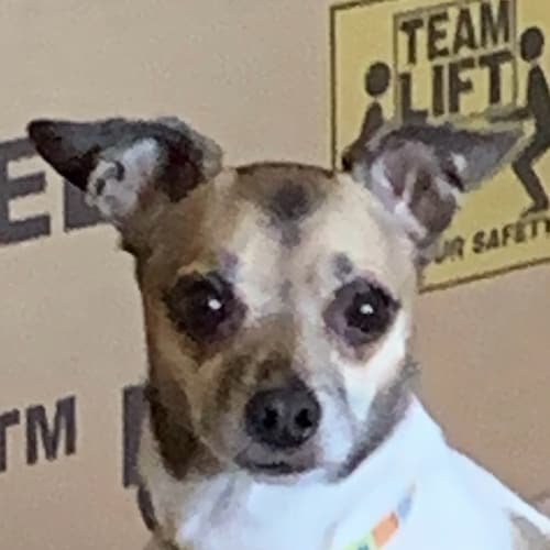 Keep America Great!
ENOUGH OF ALL THIS DEMOCRACY TALK! WE ARE A CONSTITUTIONAL REPUBLIC ! Citizen journalist! RAV/GETTR ...