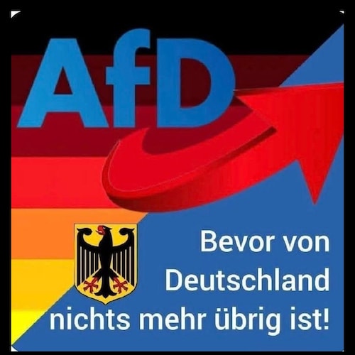 Präsident Donald Trump 🇺🇲, AFD 💙, Familienvater ♂️ "pro patria"