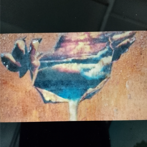 I'm just a sad old man
Who doesn't understand
Why
Human minded people
Are Becoming
Ileagle