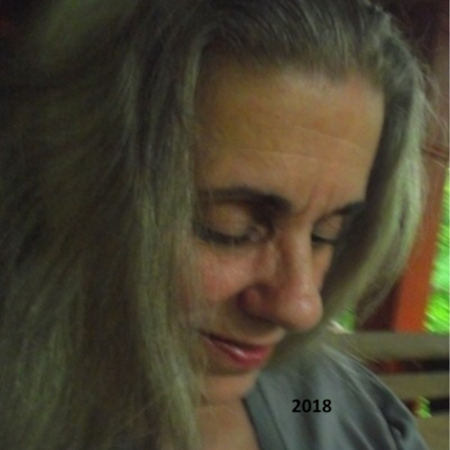 Things the Constitution does not guarantee:

Financial security
Free housing
Free health care
Free E...