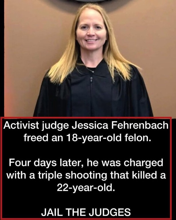 These Are Not Judges.
There Far Left Activists
Elon Musk Even Said That.
All Installed Thru Obama To...