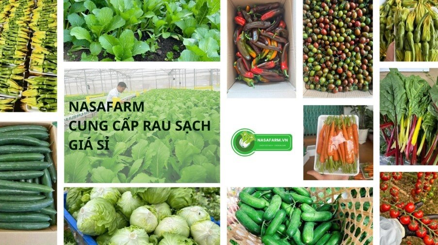 Thị trường thực phẩm tại TP.HCM đang ghi nhận nhu cầu lớn đối với nguồn cung rau củ quả sỉ có chất l...