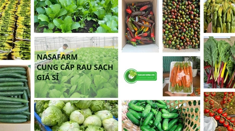 Thị trường thực phẩm tại TP.HCM đang ghi nhận nhu cầu lớn đối với nguồn cung rau củ quả sỉ có chất l...