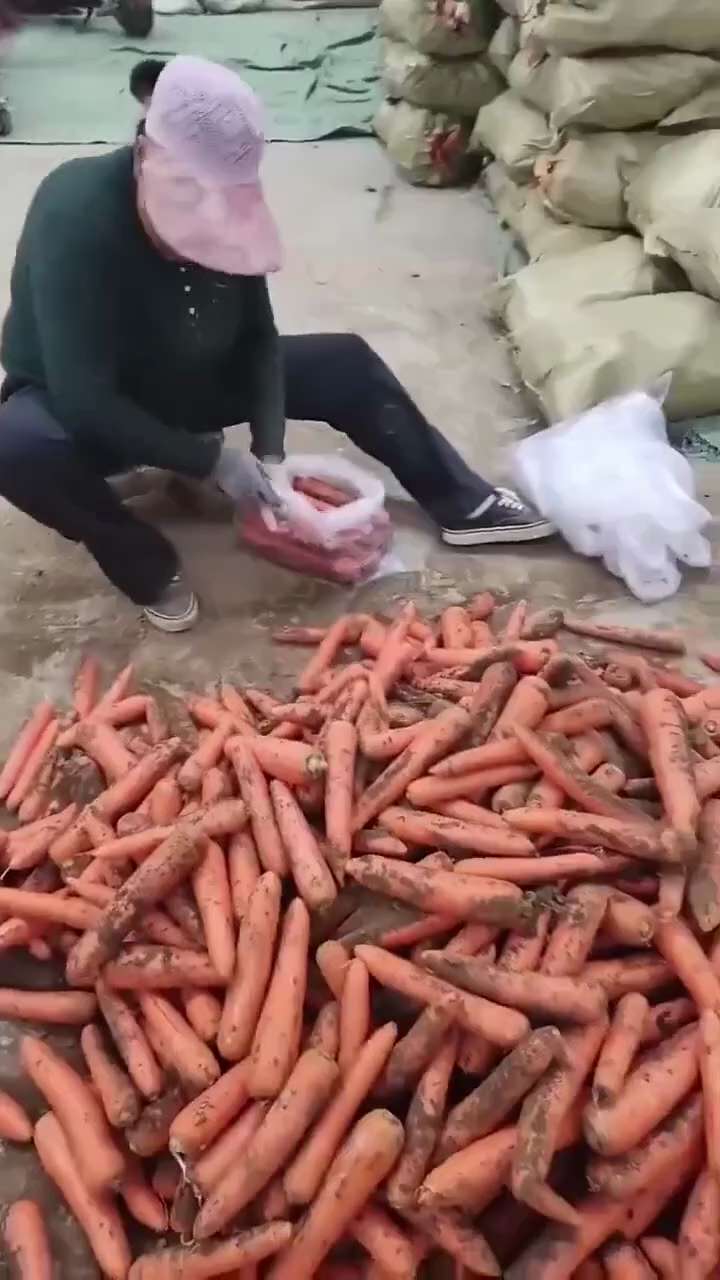 #建议避免食用中国产食品及食材
其中大部分都喷洒了杀虫剂等有毒化学物质（非法使用农药），会对人体造成不可逆的伤害。
韩国查获进口案例：
中国产胡萝卜（氯吡蚜酮超标14倍），
洋葱（噻虫胺超标12倍），...