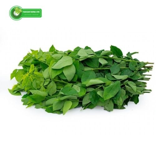 Trong những năm gần đây, xu hướng sử dụng thực phẩm sạch và có nguồn gốc an toàn ngày càng được nhiề...