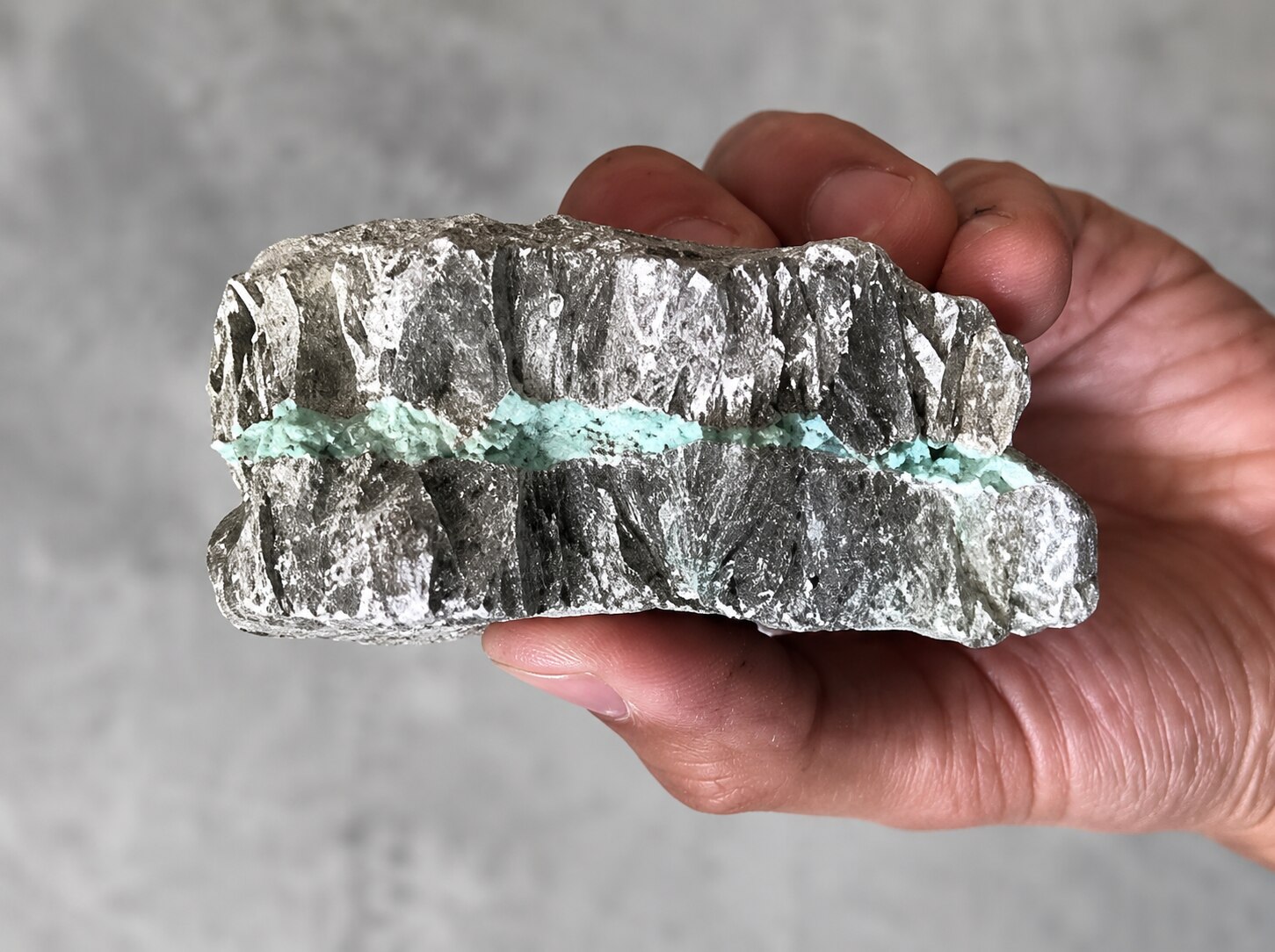Lithium Price Trend: Market Insights, Demand, and Future Outlook

The Lithium Price Trend, Lithium P...
