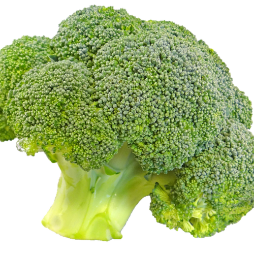 Welcome to the Heirloom Reviews channel. This channel focuses on growing many verities of heirloom seeds. We buy seeds f...