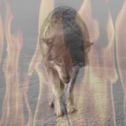 Rhymer of words, dreamer of dreams, completely aware nothing is as it seems.  Gold Star daughter.  Unreconstructed Rebel...