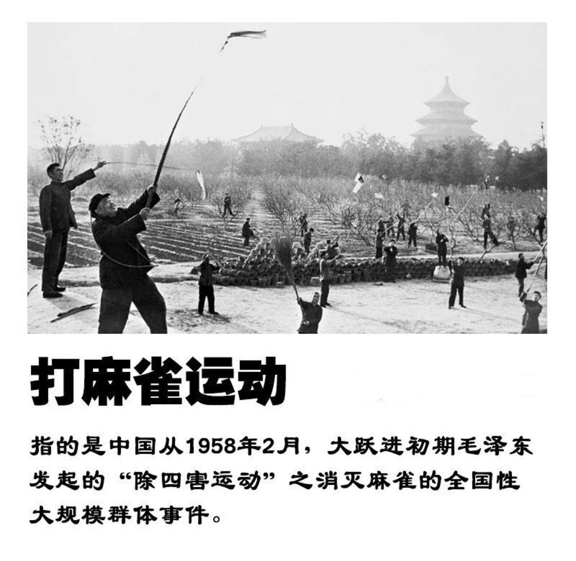 毛泽东在丰收之年，人为制造“除四害”运动，最终造成中国8千万人饿死。
毛泽东在100%执行沼泽地的命令！减少人口！这就是这个恶魔为啥一直能活到最后也没被清算，直到现在还在天安门晒尸给中国人“瞻仰”的根...