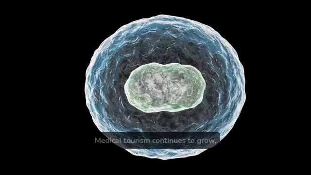 RegenaVida Mexico Modern Stem Cell Wellness Treatment Solutions

RegenaVida offers modern stem cell ...