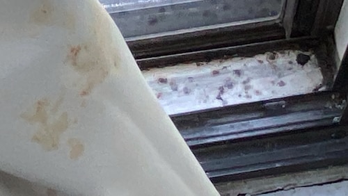 Second Moldy Room  @ Motel 6 Ramada Way off i40/Airport Dr Green Bay