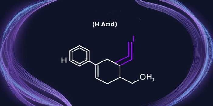 H Acid Price Chart: Understanding Market Trends and Price Movements

Explore the H Acid Price Chart,...