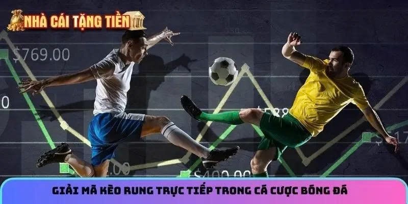 Kèo Rung Trực Tiếp – Mẹo Bắt Rung Cực Bén Ăn Tiền Nhà Cái



Kèo rung trực tiếp luôn là món khoái kh...