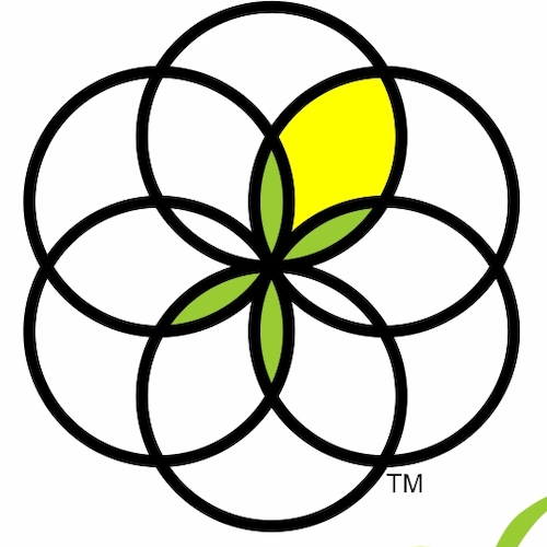 The Mission of the Seed of Life, Essene Temple is to preach the red letter gospel and original Christian Way of Yashua H...