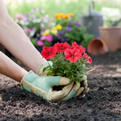 LS Gardens Creates Beautiful Tampa Landscapes With Care

LS Gardens provides professional tampa land...
