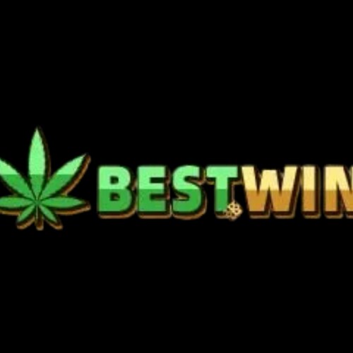 Visit BestWin Casino's profile on GETTR. View their posts, photos, videos, and connect with them on the social platform.