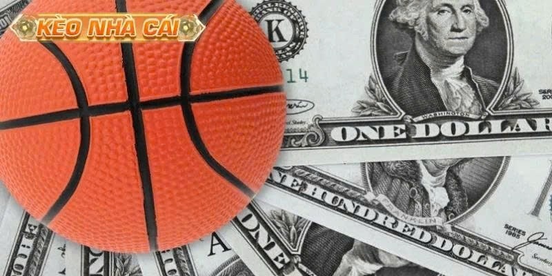 Kèo Bóng Rổ NBA Và Cẩm Nang Bắt Kèo Trực Tiếp Trong Trận



Kèo bóng rổ NBA luôn tạo nên cơn sốt mạn...