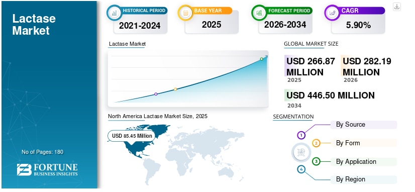 ラクターゼ市場の規模、シェア、動向、成長予測（2026年～2034年）
Fortune Business Insightsによると、世界のラクターゼ市場規模は2025年に2億6687万米ドルと評価され...