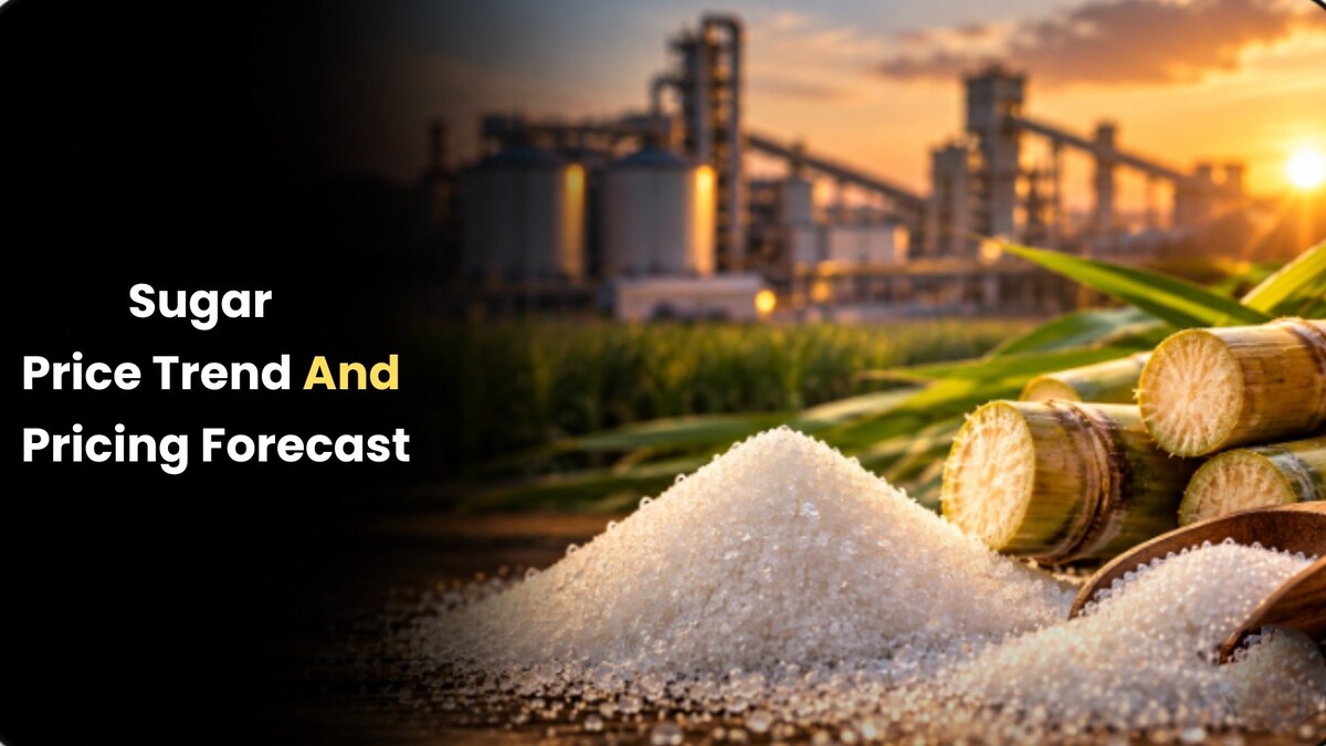 Sugar Price Trend in Vietnam 2026 Price Trends, Forecast, Chart, Prices and Index

Sugar Price Trend...