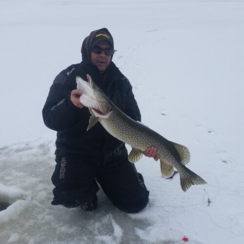 Freedom loving Patriot