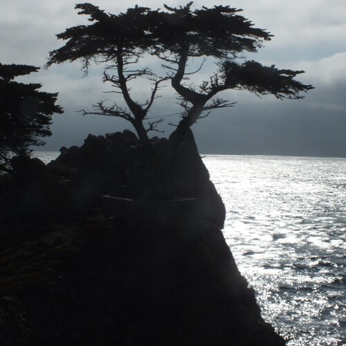 Emancipate yourself from mental slavery, none but ourselves can free our mind.