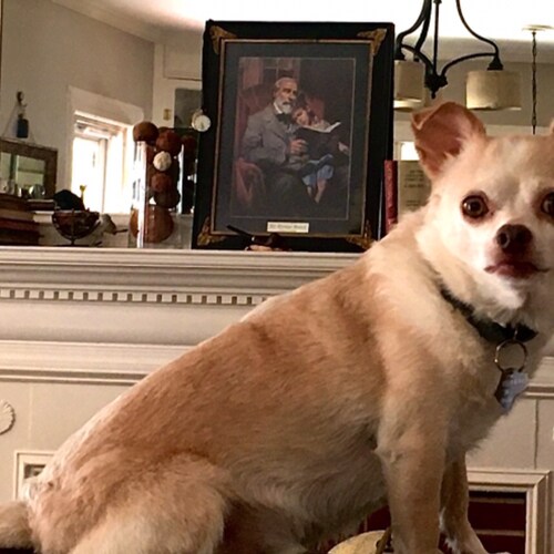 Retired rural carrier. Love God , my wife and family and my little dog 🐕 and my country 🇺🇸. Trump train 🚂 is getting...