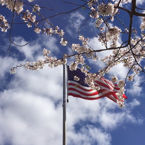 Be Grateful, Respectful, Kind. Always be Accountable. Remember to always be Thankful 🇺🇸