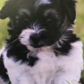 Anyone trying to sell me Bitcoin will be blocked and exposed.Conservative Patriot. In this for the long haul.